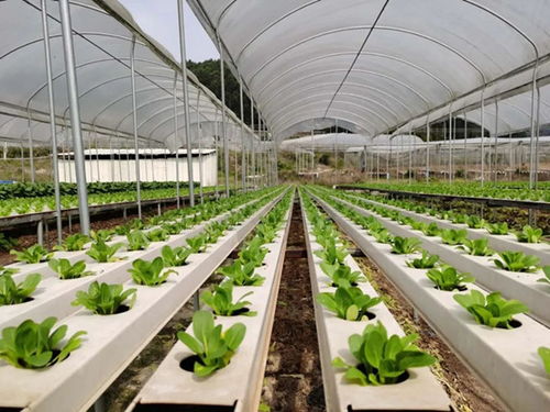 電商風采 電子商務的變革與未來