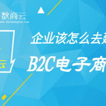 電子商務 數(shù)字時代的商業(yè)革命
