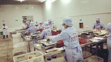 白馬情天池美——電商發(fā)展新篇章 左占高局長率團考察西域美農公司