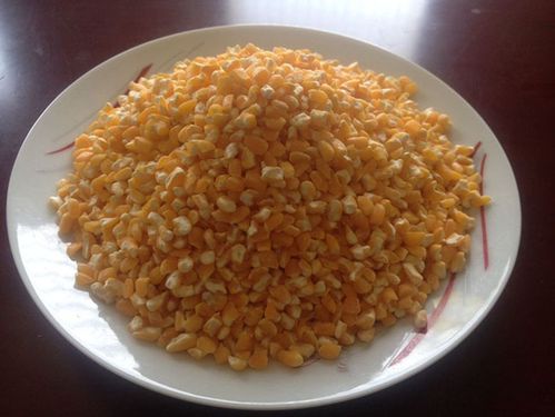 玉米仁 新鄉(xiāng)市龍山莊園的精選糧食加工典范