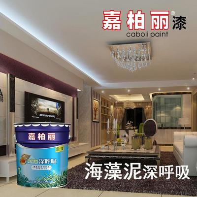 嘉柏麗硅藻泥 打造寧靜健康室內(nèi)空間的理想選擇