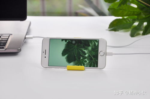 2021年蘋果產品選購指南 iPhone、iPad、iWatch、AirPods全方位解析及軟件設計開發推薦